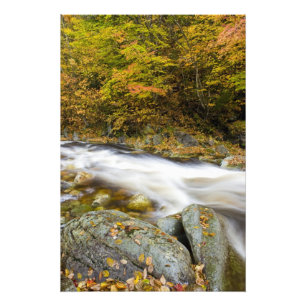 Roaring Brook in fall in Vermont's Green Photo Print