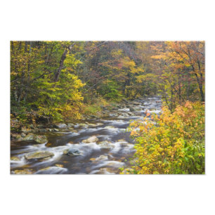 Roaring Brook in fall in Vermont's Green Photo Print