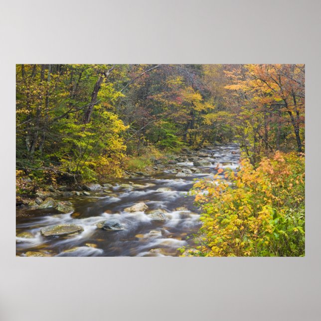 Roaring Brook in fall in Vermont's Green Poster (Front)