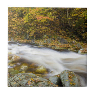 Roaring Brook in fall in Vermont's Green Tile