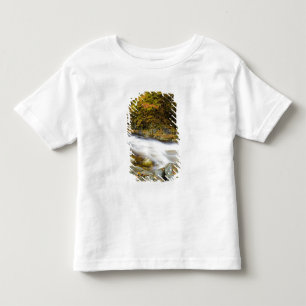 Roaring Brook in fall in Vermont's Green Toddler T-Shirt