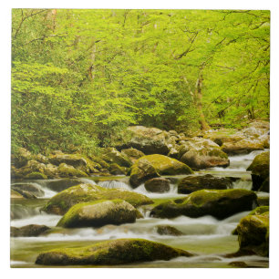 Roaring Fork in Spring Ceramic Tile