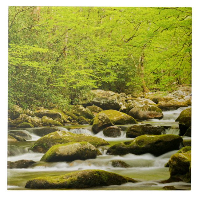Roaring Fork in Spring Ceramic Tile (Front)