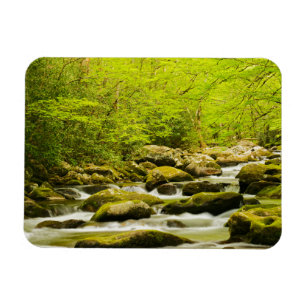 Roaring Fork in Spring Magnet