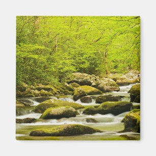 Roaring Fork in Spring Magnet