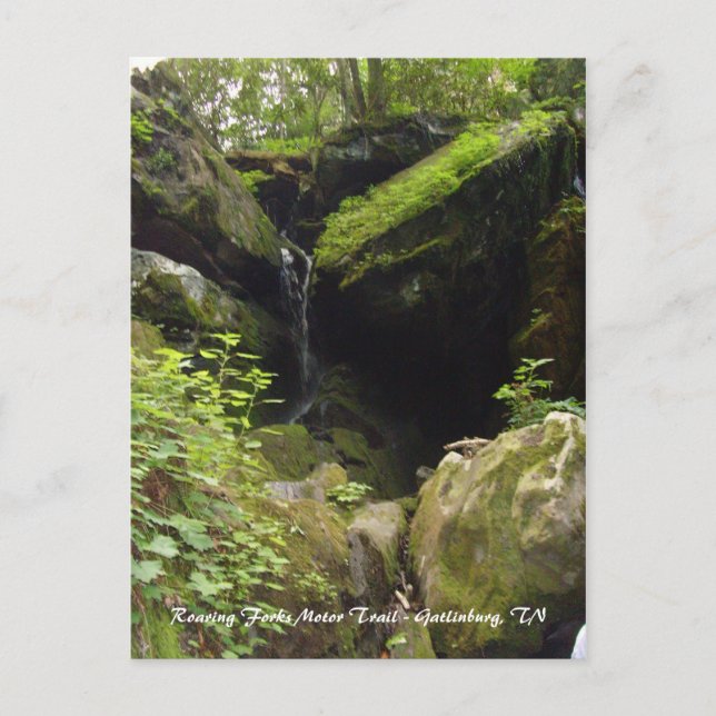 Roaring Forks Motor Trail - Gatlinburg, TN Postcard (Front)
