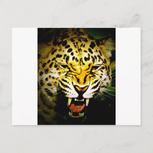 Roaring Leopard Postcard