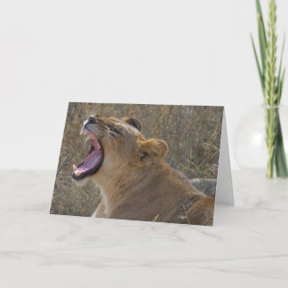 Roaring lion greeting card
