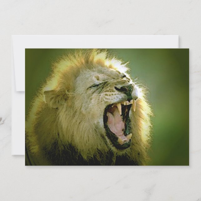 Roaring Lion Invitation (Front)