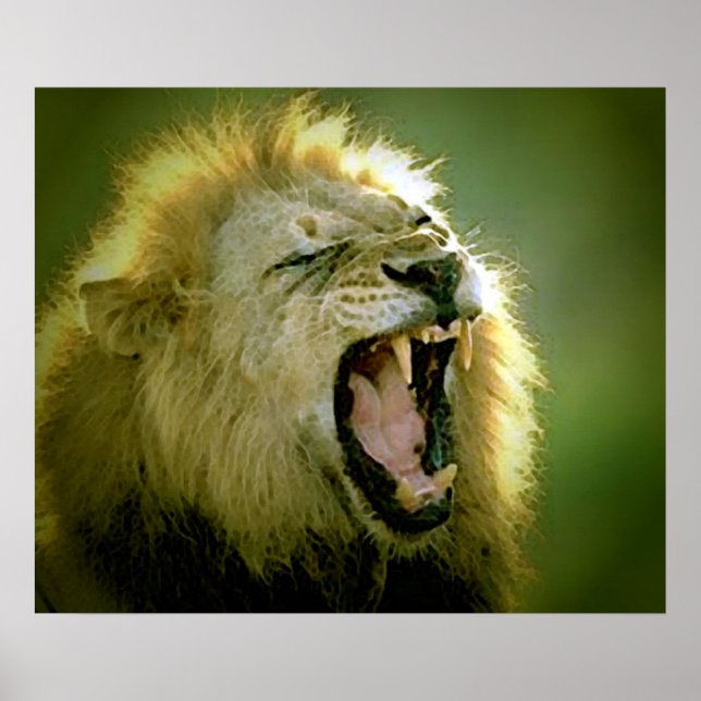 Roaring Lion Poster Print (Front)