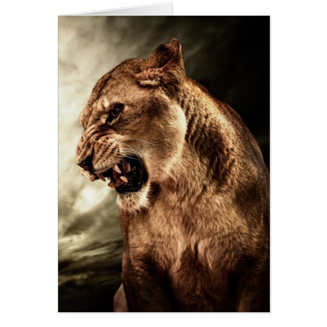 Roaring lioness against stormy sky (Front)