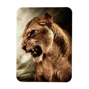 Roaring lioness against stormy sky magnet