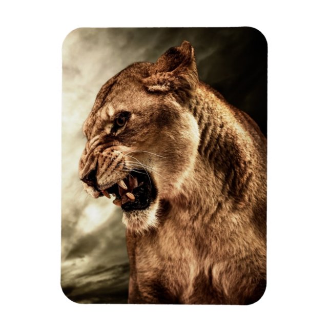 Roaring lioness against stormy sky magnet (Vertical)