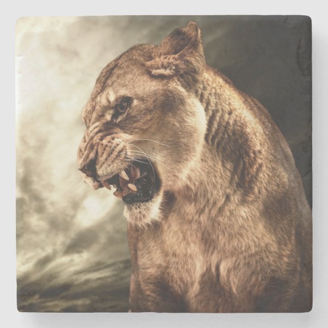 Roaring lioness against stormy sky stone coaster (Front)