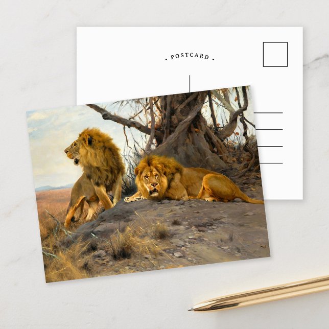 Roaring Lions | Wilhelm Kuhnert Postcard (Creator Uploaded)