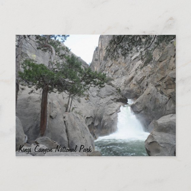 Roaring River Falls- Kings Canyon National Park Postcard (Front)