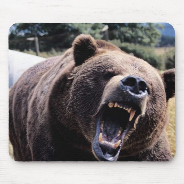 Roaring Teddy Bear Mouse Pad (Front)