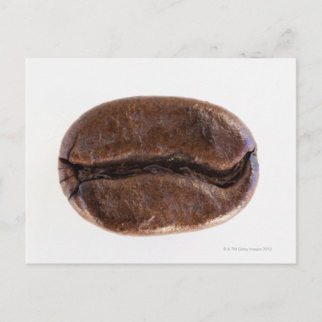 Roast coffee bean, studio shot postcard (Front)
