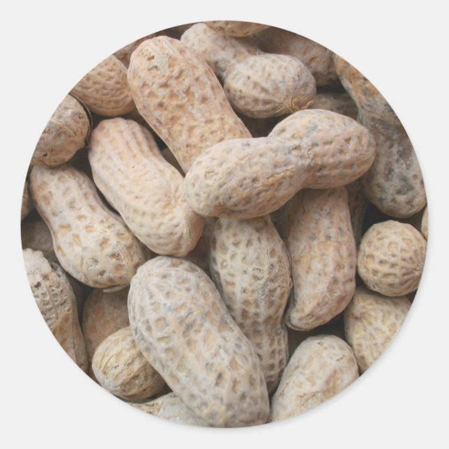 Roasted Salted Peanuts in the Shell Classic Round Sticker (Front)