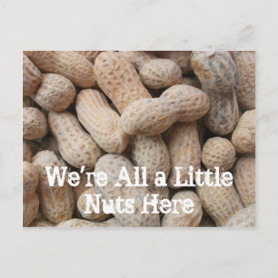 Roasted Salted Peanuts in the Shell Postcard