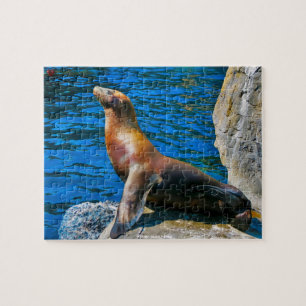 Robben Island Florida Jigsaw Puzzle