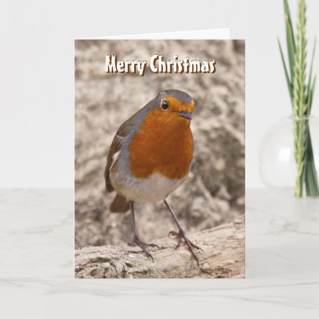 Robbie Robin Christmas Card (Front)