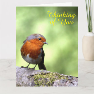 Robbing Redbreast Card