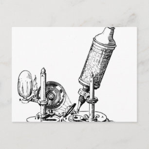 Robert Hooke's Microscope Postcard