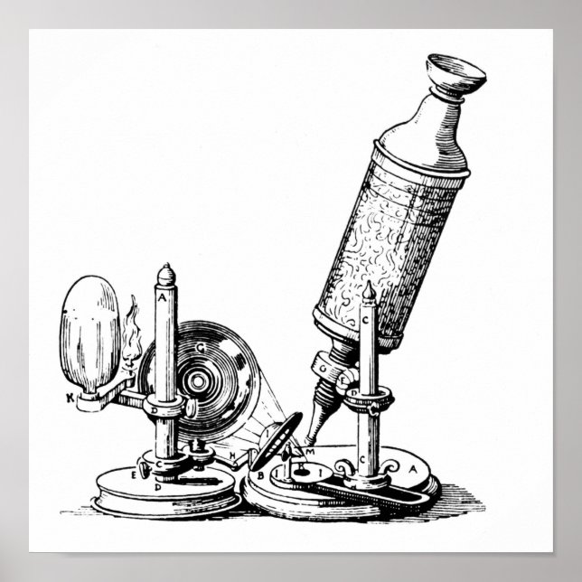 Robert Hooke's Microscope Poster (Front)