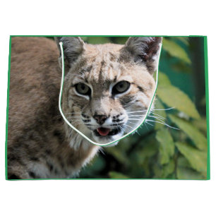 Robert J.Bobcat Large Gift Bag