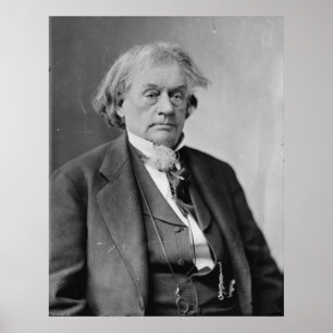 Robert Toombs Poster
