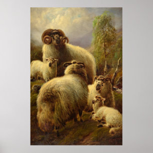 Robert Watson, Highland Sheep, 1899 Poster