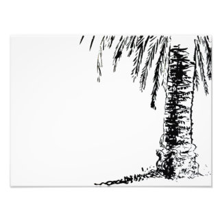 Roberts Tree Photo Print