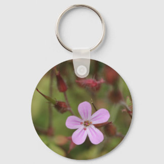 robertskruid key ring