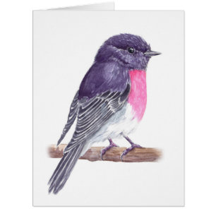 Robin