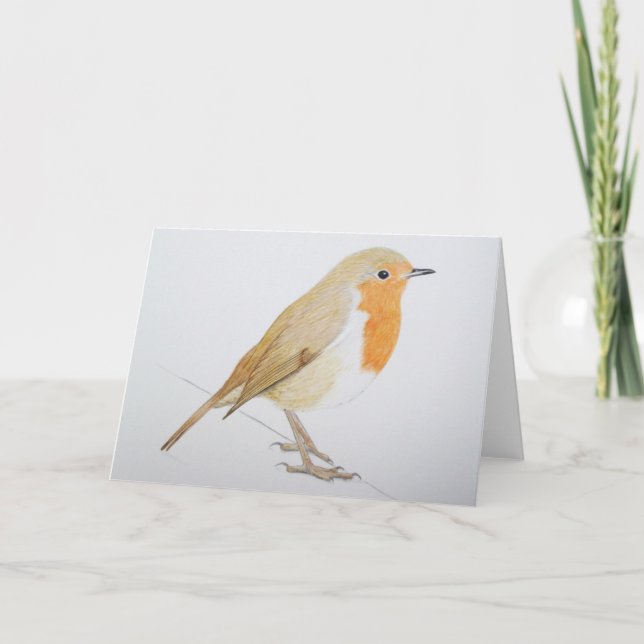 Robin 2011 holiday card (Front)