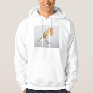 Robin 2011 hoodie