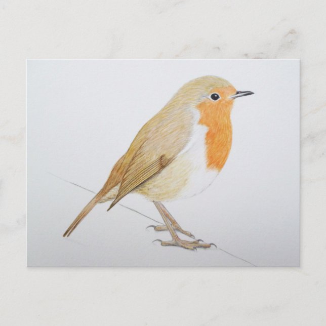 Robin 2011 postcard (Front)