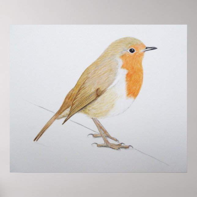 Robin 2011 poster (Front)