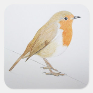 Robin 2011 square sticker