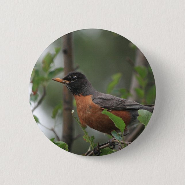 Robin 6 Cm Round Badge (Front)