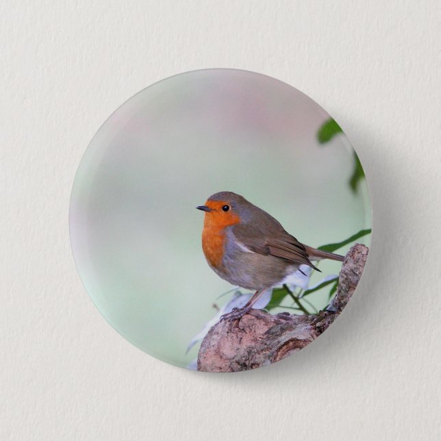Robin 6 Cm Round Badge (Front)