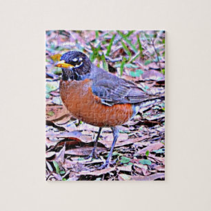 Robin (American Robin) Jigsaw Puzzle