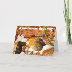 Robin and snow holiday card