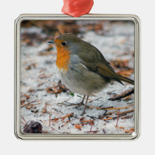 Robin Bauble Metal Ornament