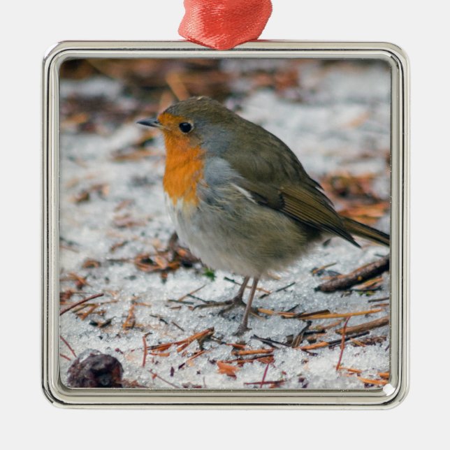 Robin Bauble Metal Ornament (Front)