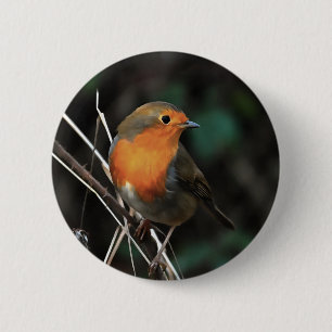 Robin Being Bright On A Dull Day Acrylic Art 6 Cm Round Badge