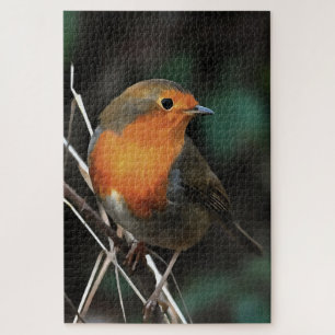 Robin Being Bright On A Dull Day Acrylic Art Jigsaw Puzzle