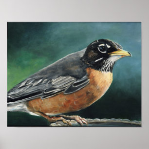 Robin Bird Art Print