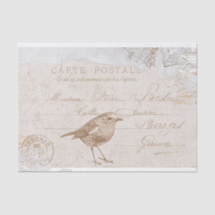 Robin Bird Carte Postale French Decoupage Blue  Tissue Paper